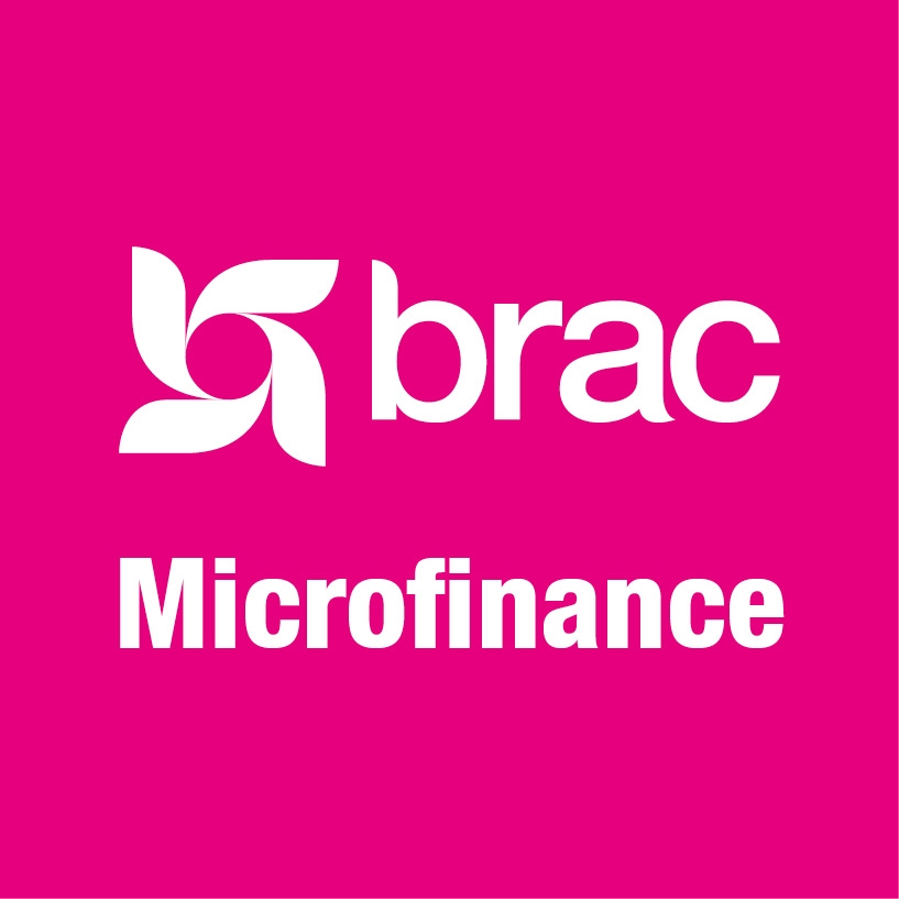 Finance Analyst (Accounts Assistant) at BRAC