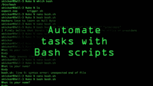 Bash Scripting for Linux Security