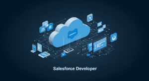 Lead Salesforce Developer (Contract) Job at Indsafri – South Africa