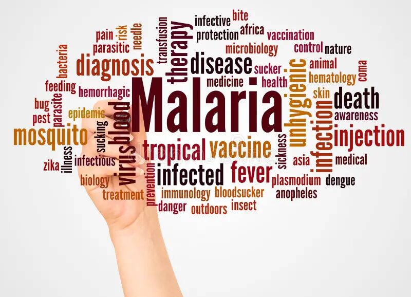 13 Open Vacancies at KEMRI-Wellcome Trust Research Programme, April 2026 13 Open Vacancies at KEMRI-Wellcome Trust Research Programme, April 2026